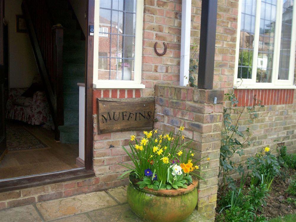 Muffins Bed & Breakfast Hastings Exterior photo